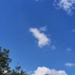 Meet your Posher, Audrey